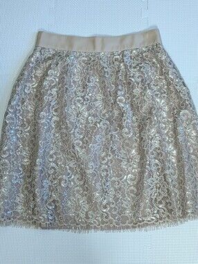 J Crew Skirt 6 Champagne Lace And Sequin Overlay Cocktail Party